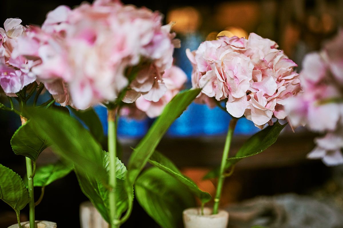 Feiern Sie den Muttertag mit FROHSINN