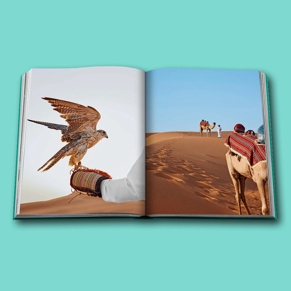 Buch Abu Dhabi Bright von Assouline