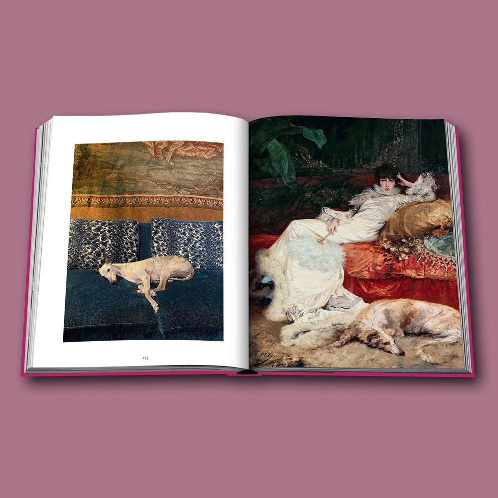 Buch Chic Dogs von Assouline