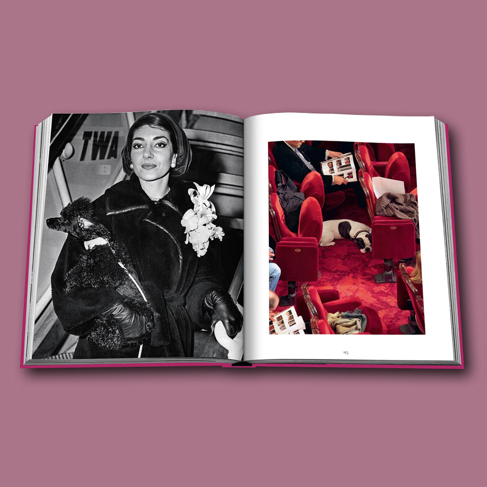 Buch Chic Dogs von Assouline