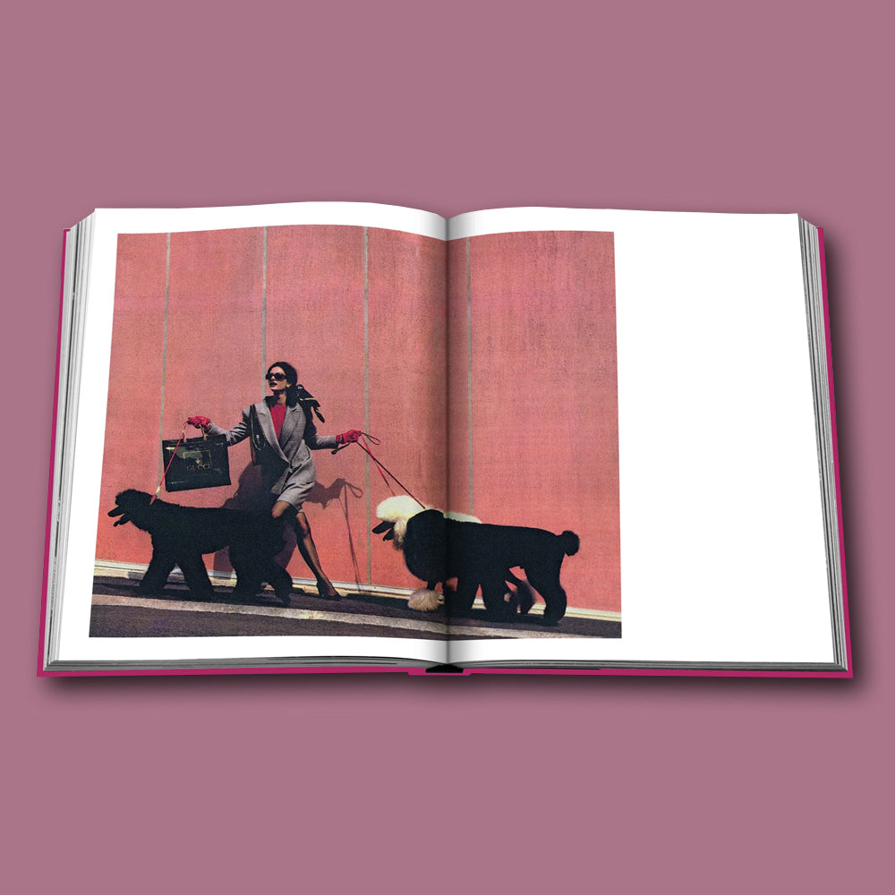 Buch Chic Dogs von Assouline