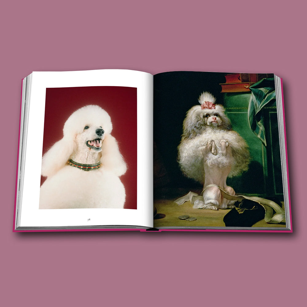 Buch Chic Dogs von Assouline