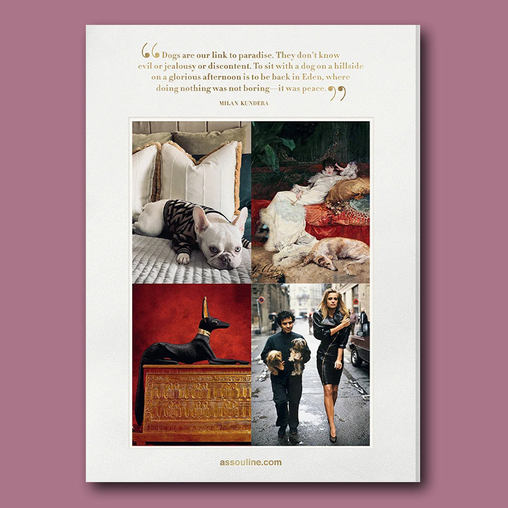 Buch Chic Dogs von Assouline