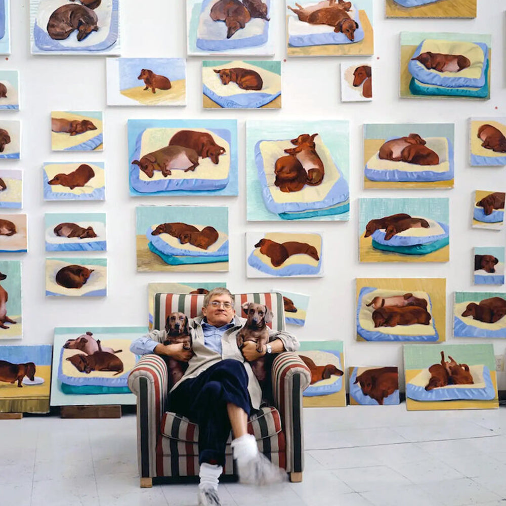 Buch David Hockney's Dog Days von Thames Hudson
