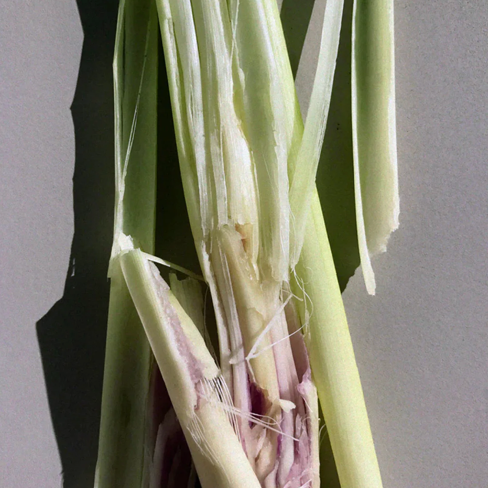 279 Meersalzpeeling mit Lemonengrass Geschmack von L:A Bruket