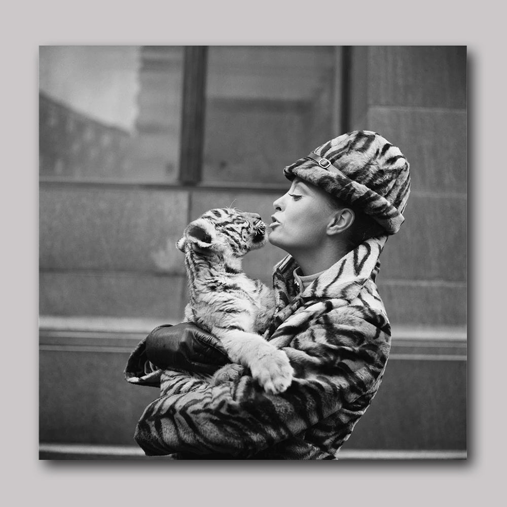 Wandbild Acrylglas - Tiger LadyTiger Lady von Getty Images