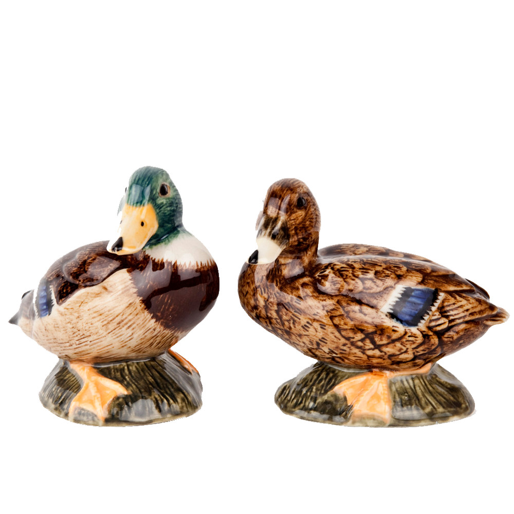 Stockente Salz & Pfeffer Set