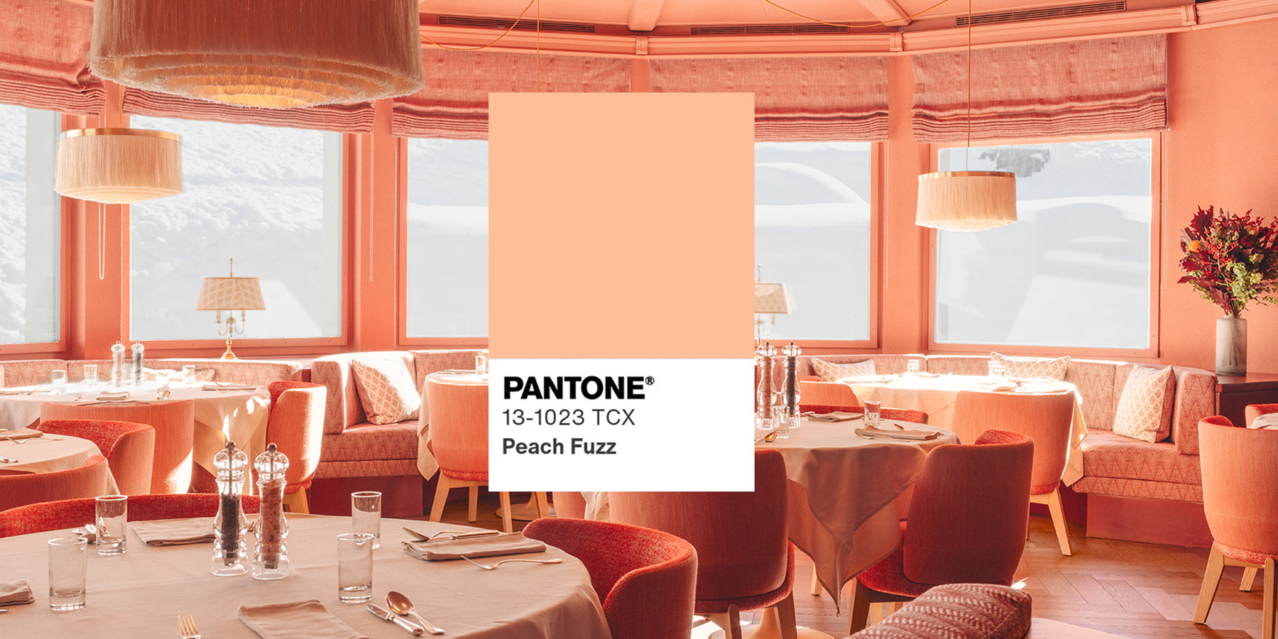 Pantone X FROHSINN