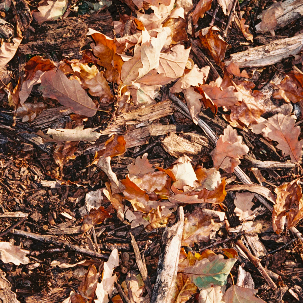 Duftkerze LA BRUKET - No. 149 Black Oak