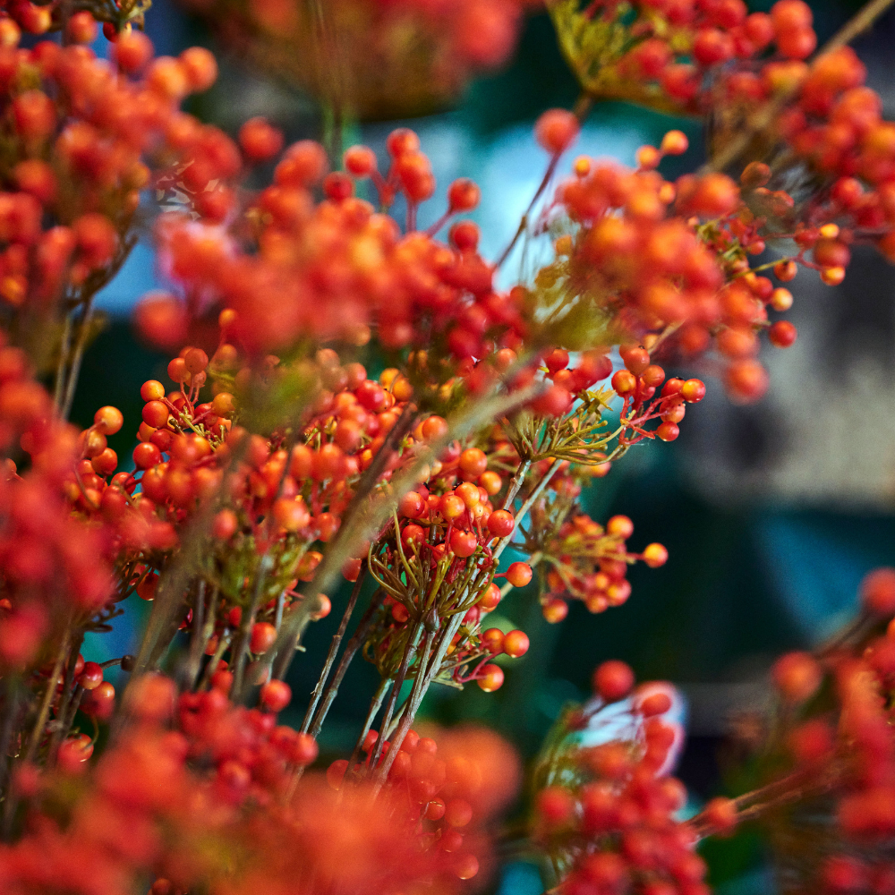 Kunstblume Beerenzweig - orange - FROHSINN