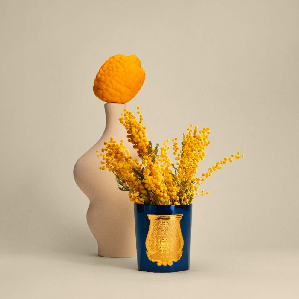 Duftkerze LA BOUGIE CLASSICQUE - Esterel