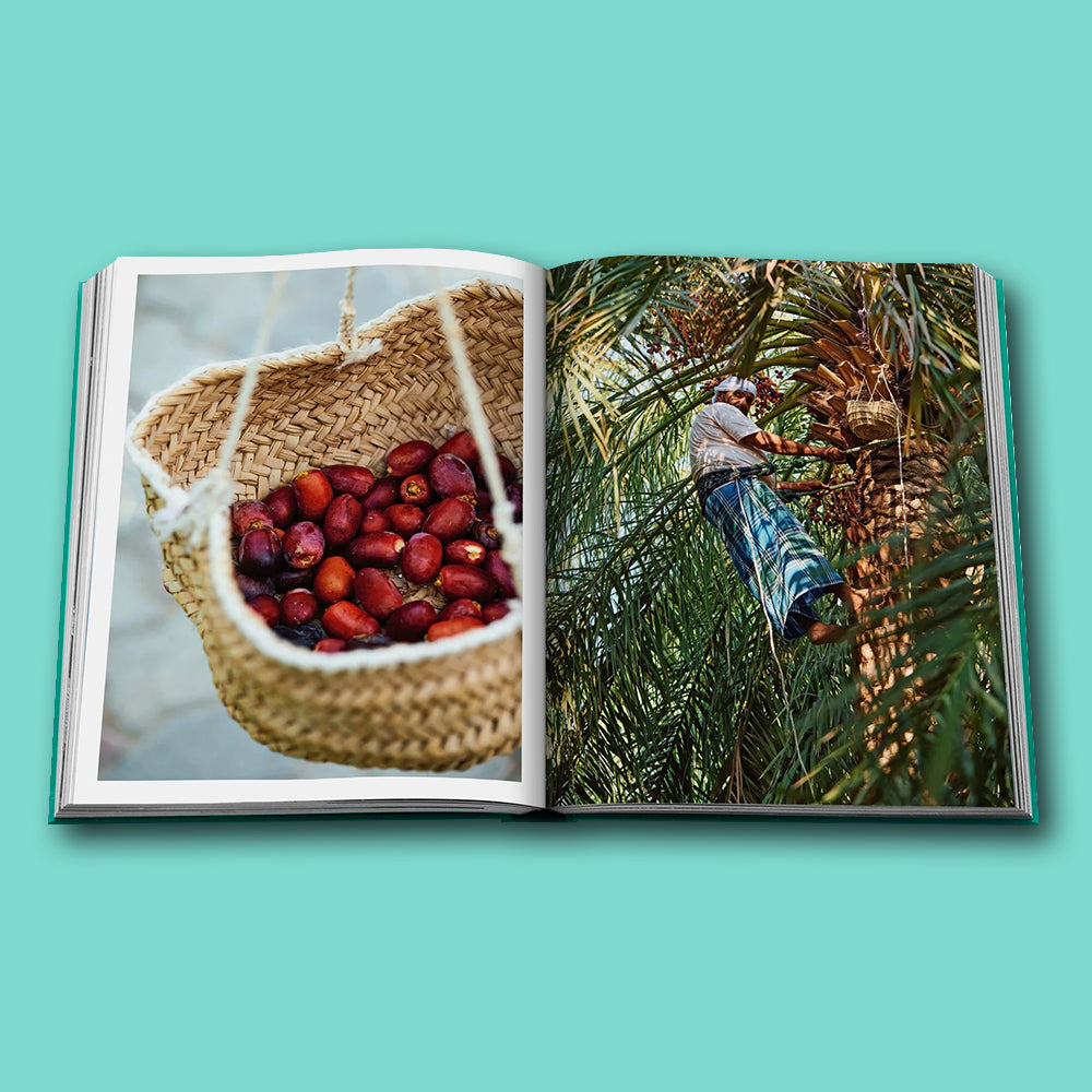 Buch Abu Dhabi Bright von Assouline