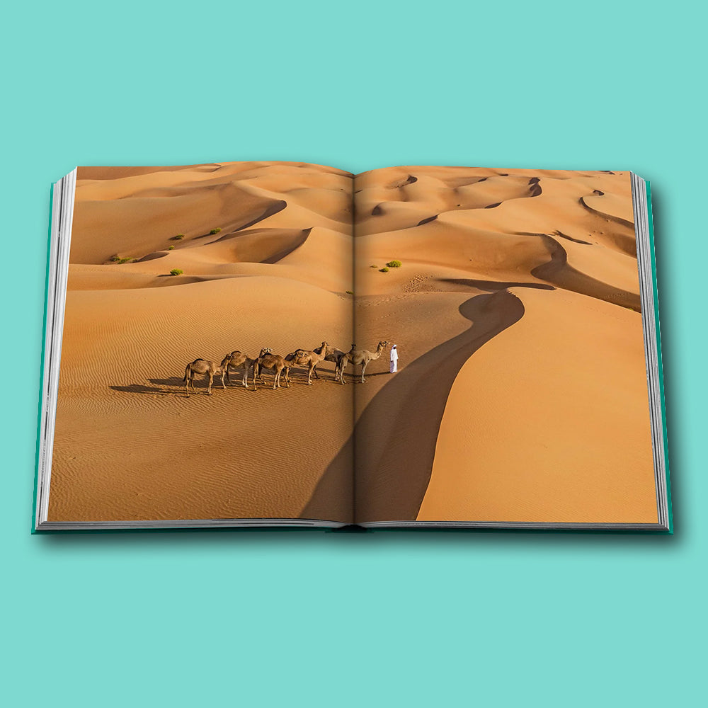 Buch Abu Dhabi Bright von Assouline
