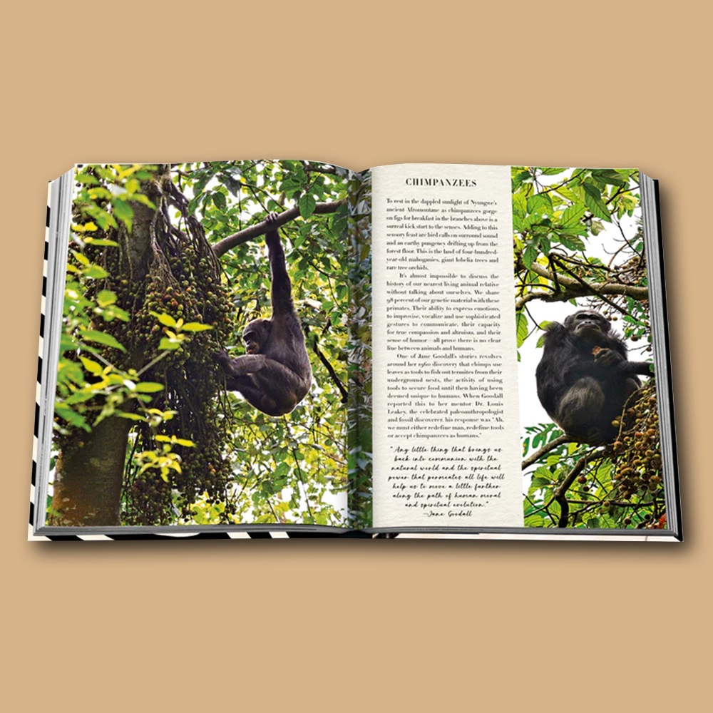 Buch African Adventures - The Greatest Safari on Earth, Inhalt