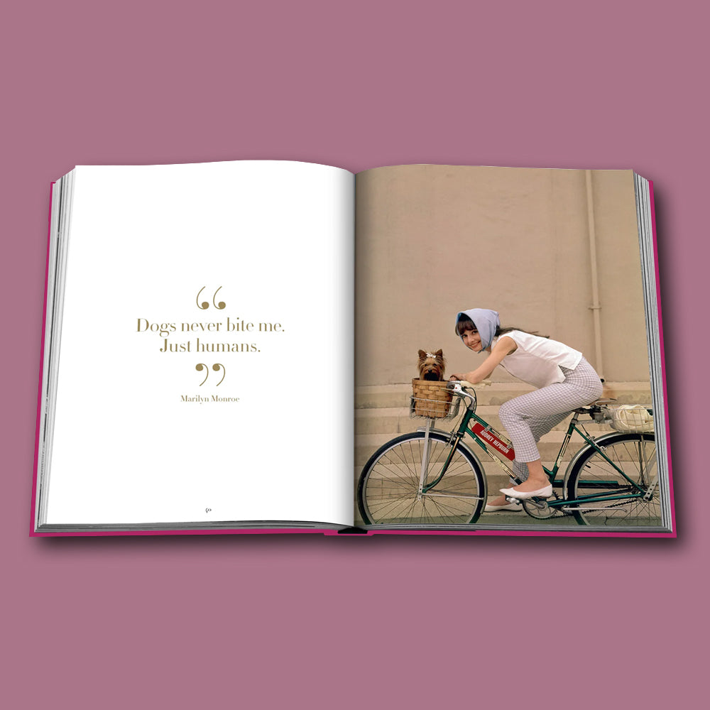 Buch Chic Dogs von Assouline