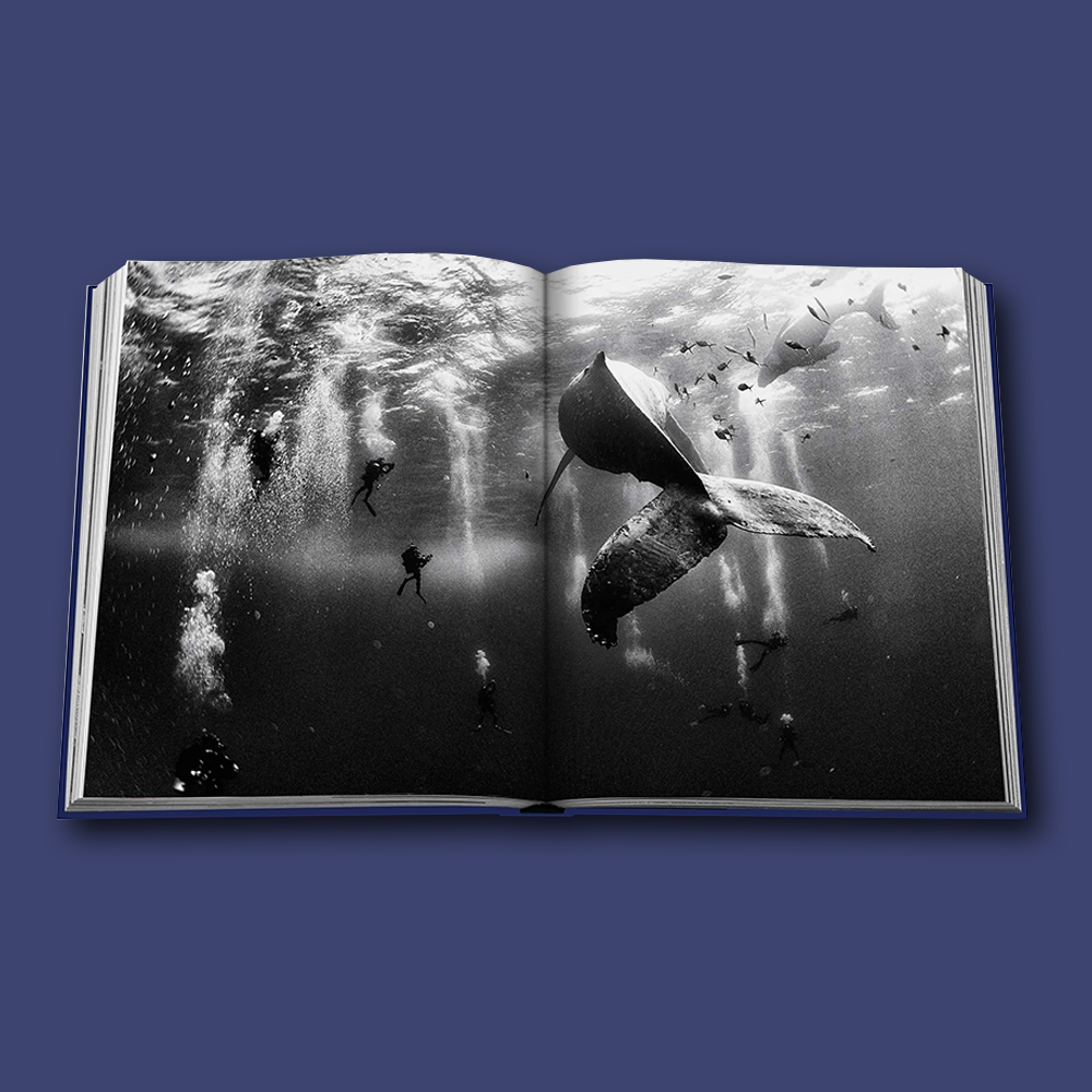 Ocean Wanderlust von Assouline, Inhalt