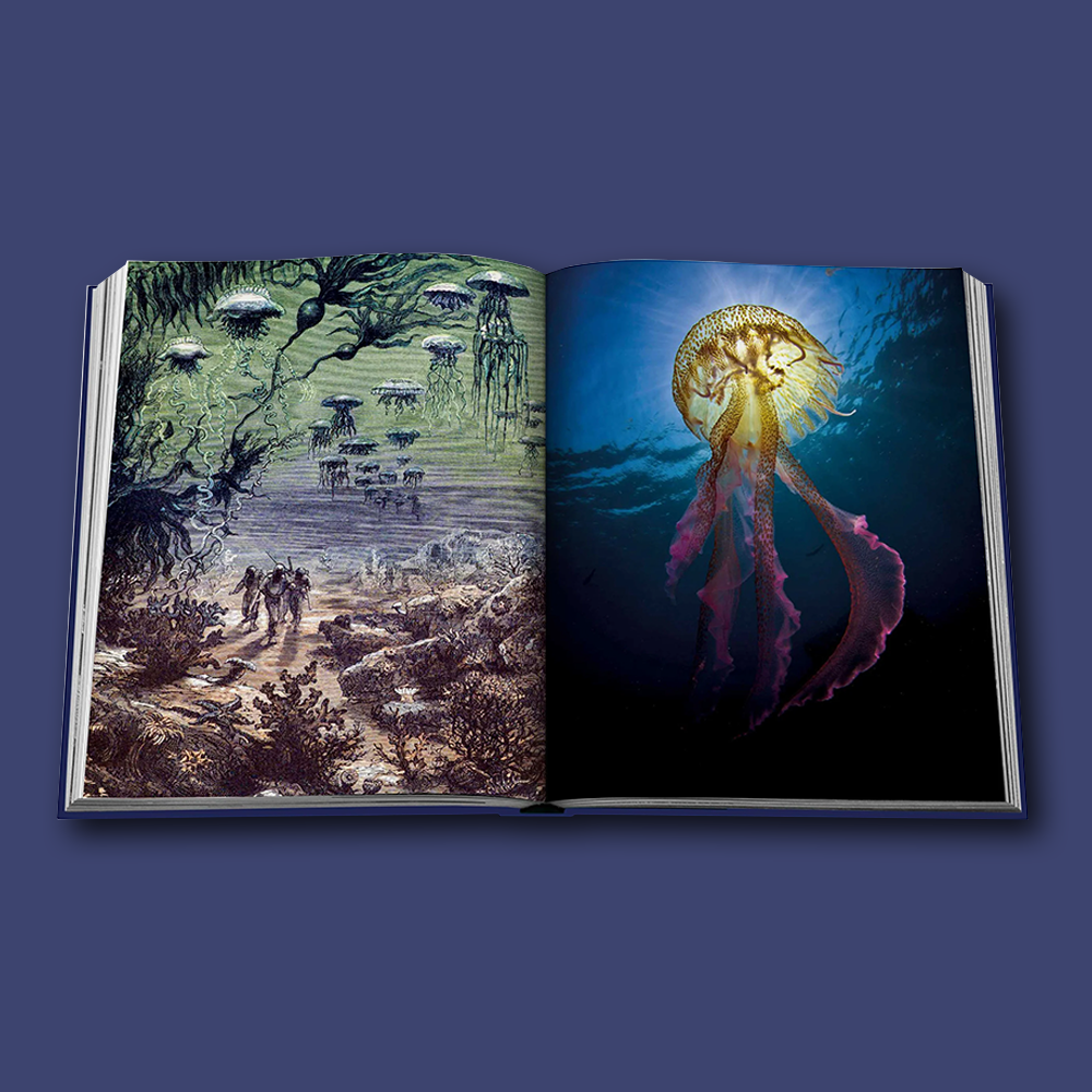 Ocean Wanderlust von Assouline, Inhalt