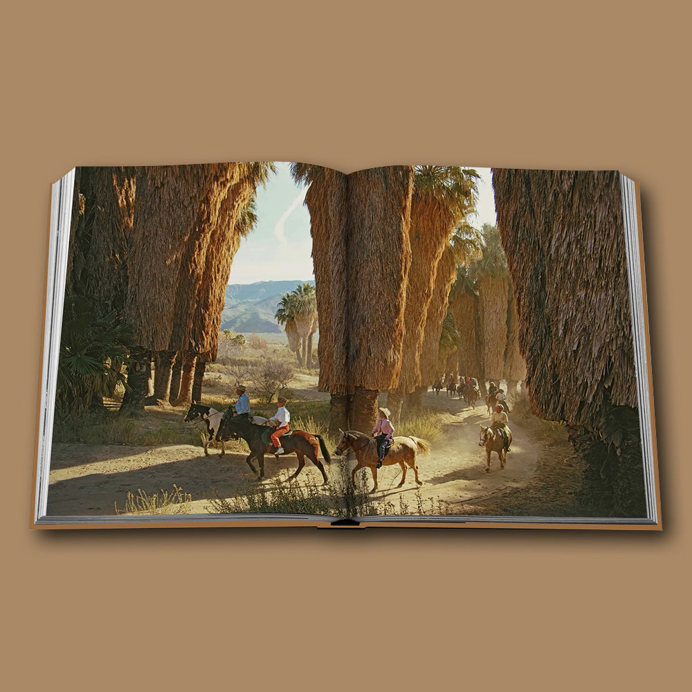 Buch Palm Springs von Assouline im FROHSINN erhältlich
