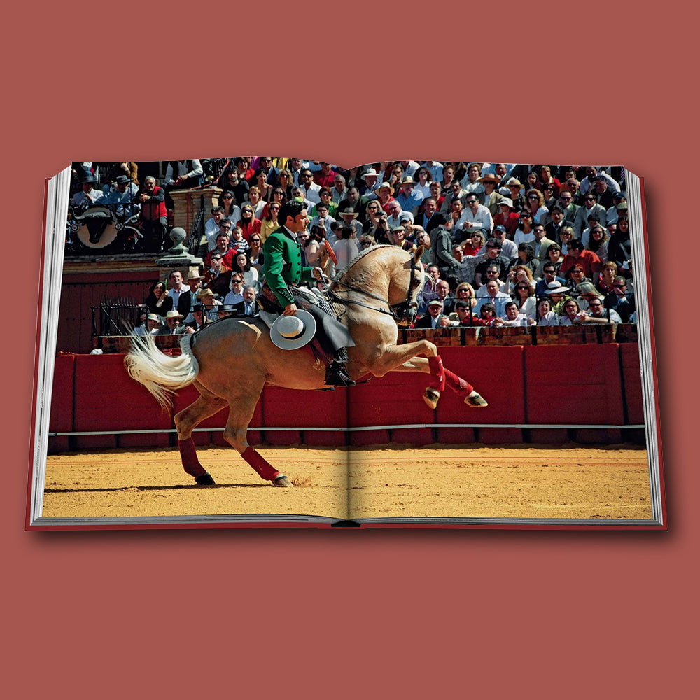 Buch Sevilla Arte, Spanien von Assouline