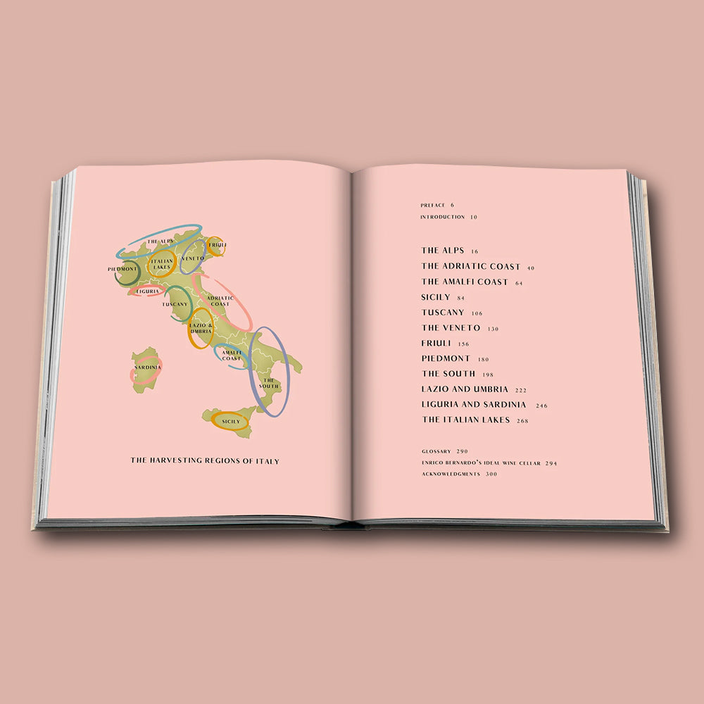 Buch WINE &amp; TRAVEL Serie von Assouline vom Land Italien 