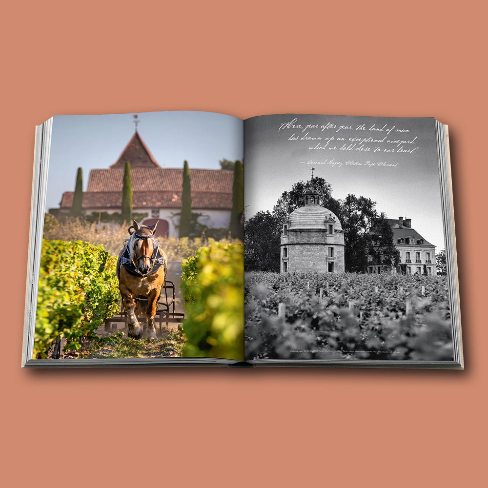 Buch WINE &amp; TRAVEL Serie von Assouline von Frankreich