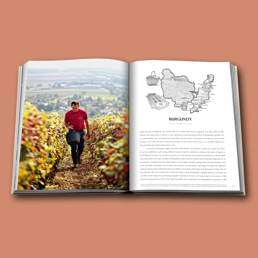 Buch WINE &amp; TRAVEL Serie von Assouline von Frankreich