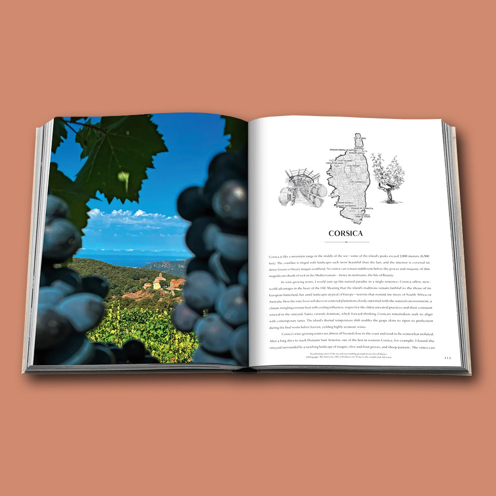 Buch WINE &amp; TRAVEL Serie von Assouline von Frankreich