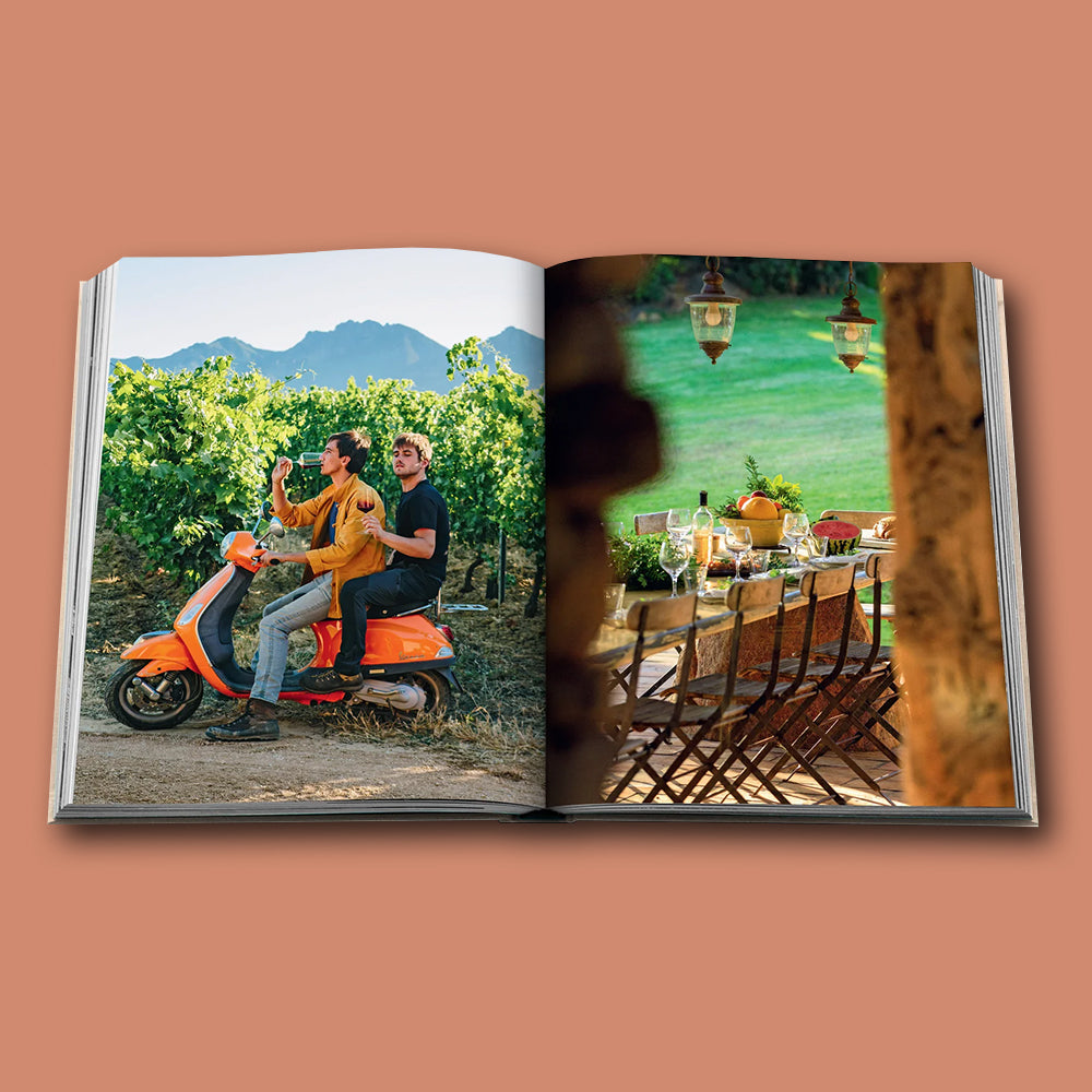Buch WINE &amp; TRAVEL Serie von Assouline von Frankreich