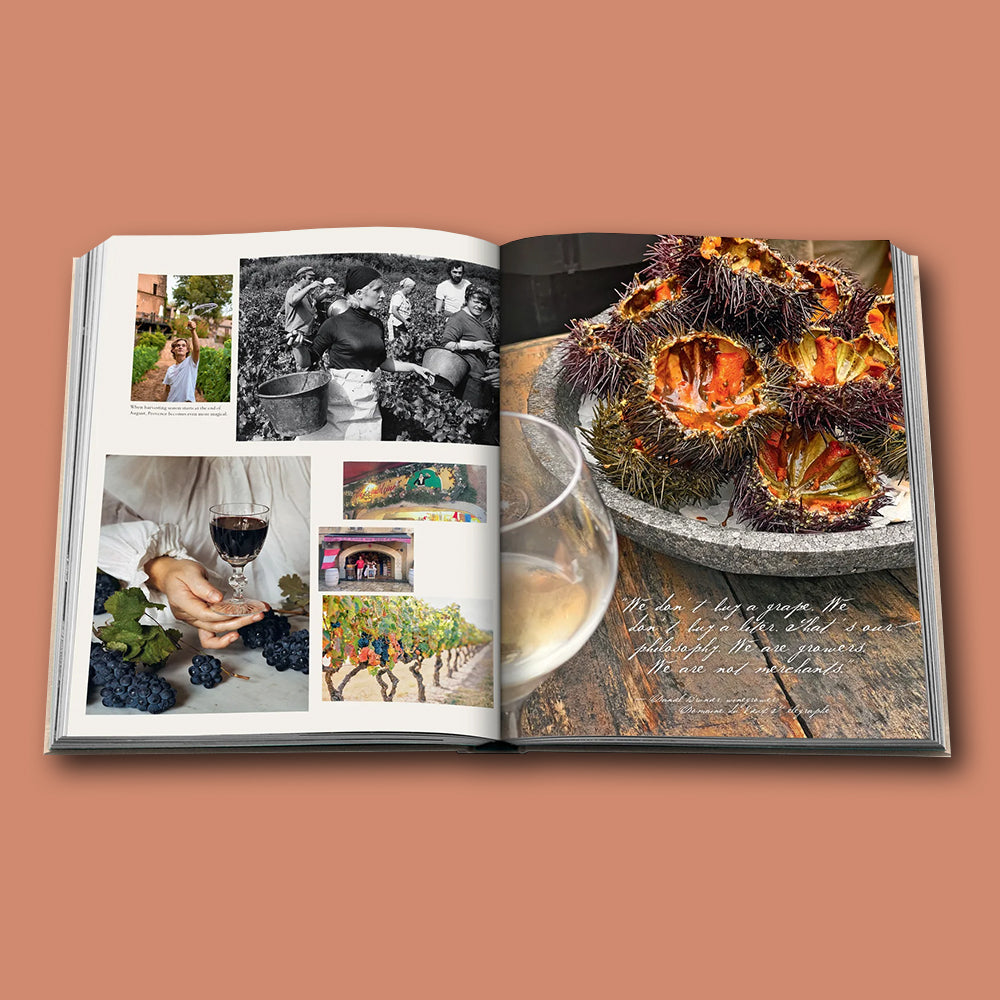 Buch WINE &amp; TRAVEL Serie von Assouline von Frankreich