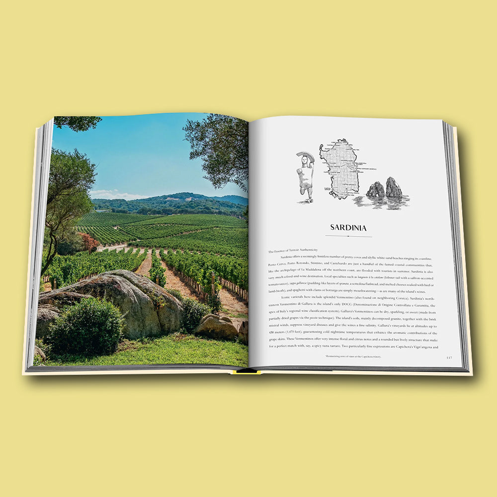 Buch Mediterranean Islands von Assouline, Kollektion Wine & Travel 