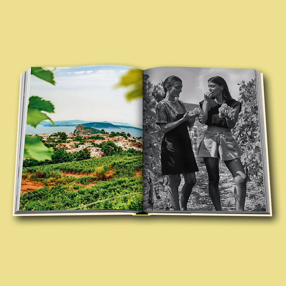 Buch Mediterranean Islands von Assouline, Kollektion Wine & Travel 
