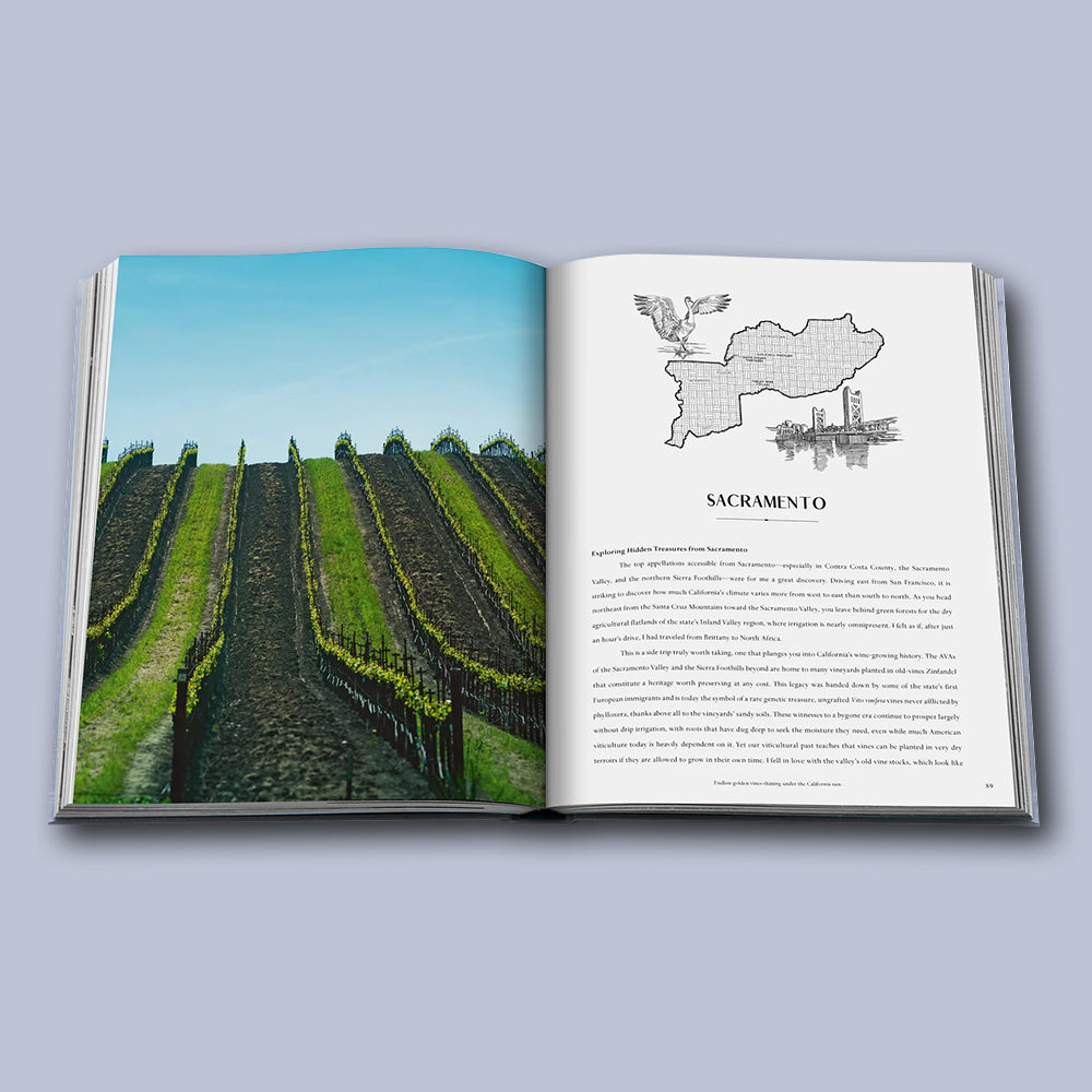 Buch United States of America von Assouline, Kollektion Wine & Travel 