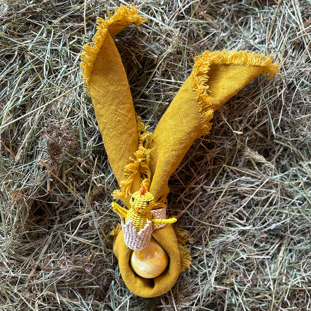 Serviettenring OSTERN in Form eines Kücken im Ei chick eggshell von Coro Cora