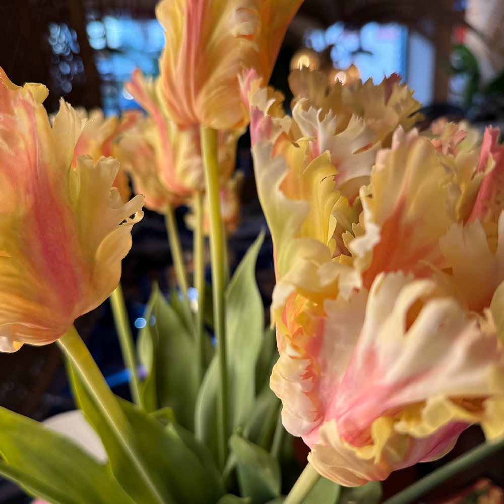 Kunstblume von Silk-Ka: Papageien Tulpe im Farbton Cream rosa