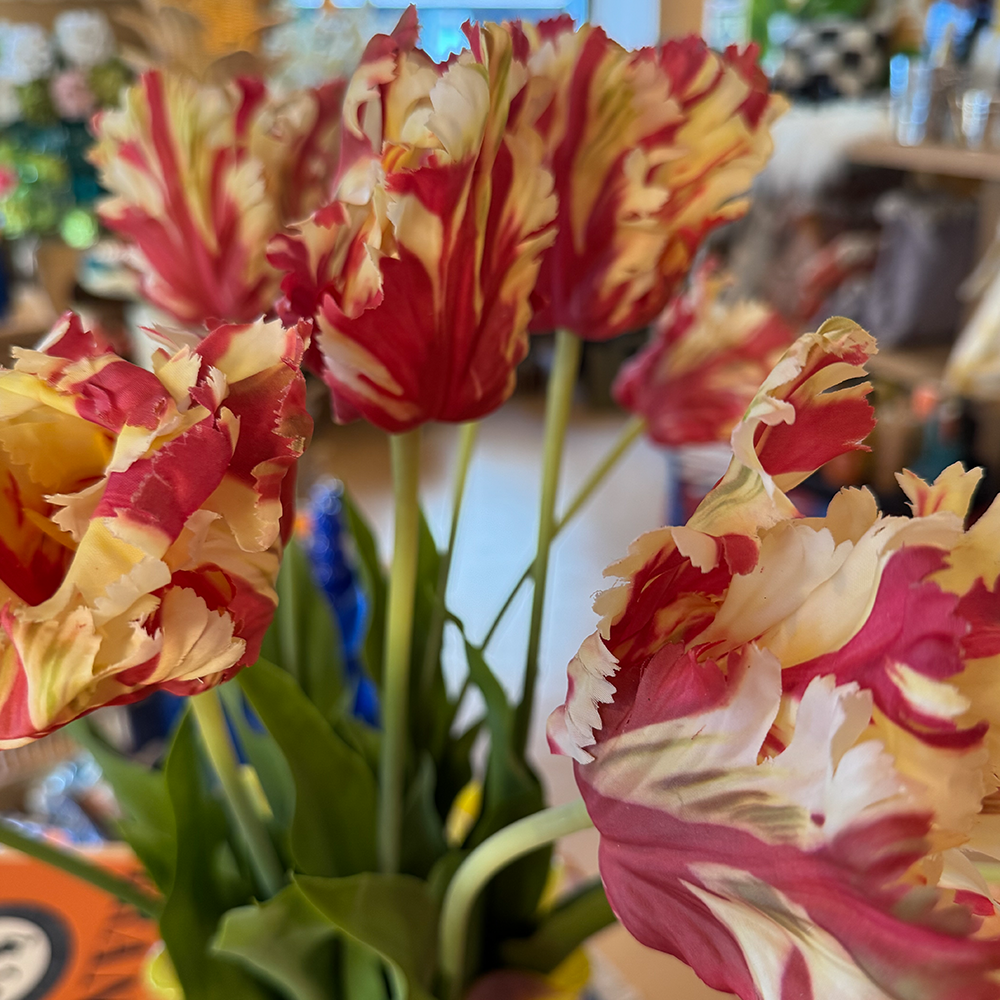 Kunstblume von Silk-Ka: Papageien Tulpe im Farbton rot und cream