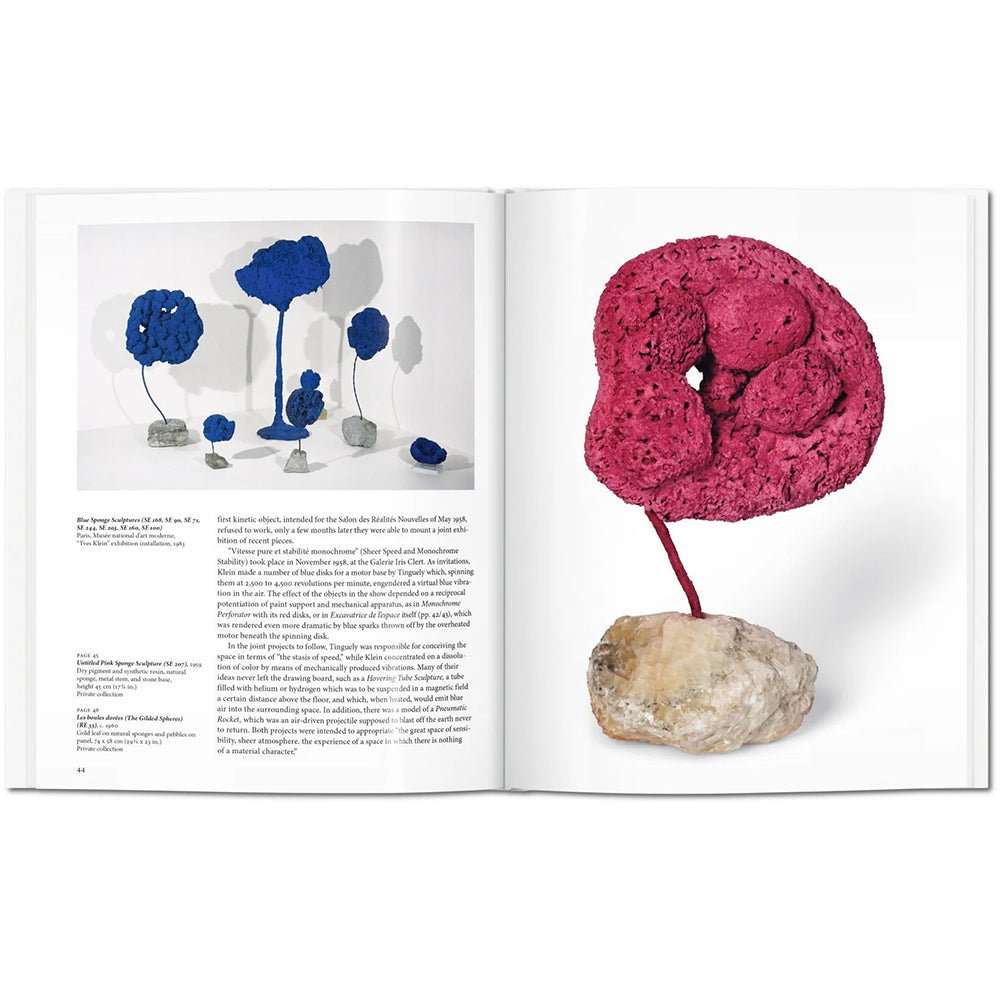 Buch Yves Klein