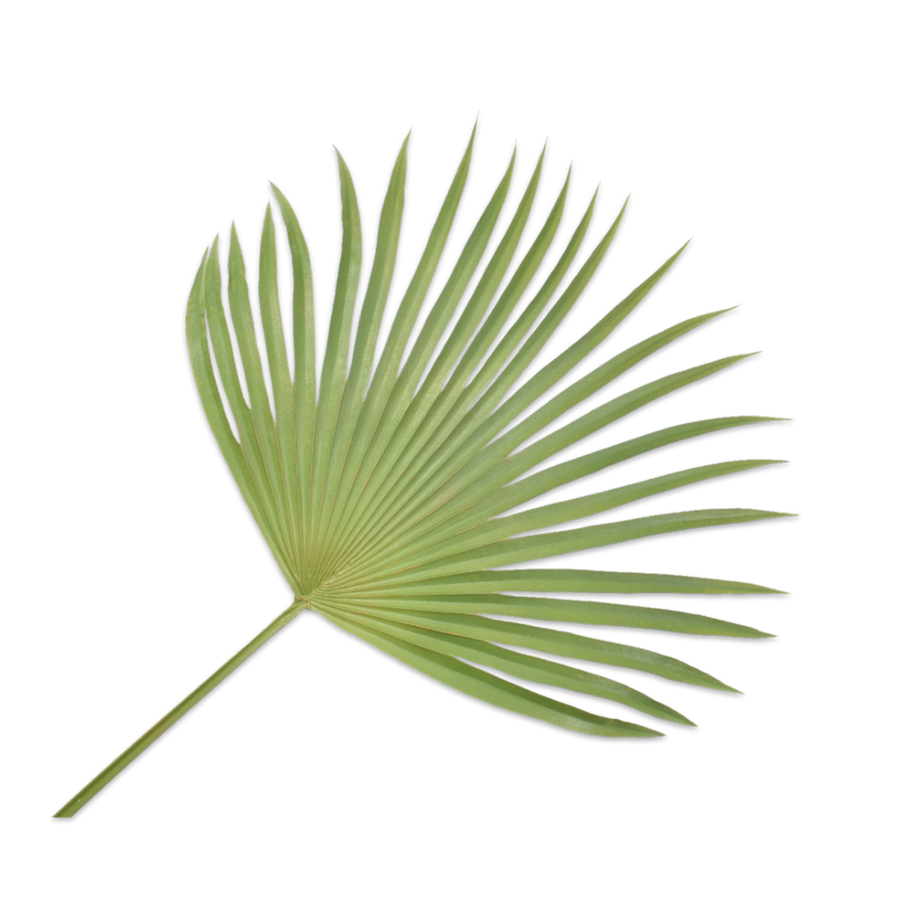 Kunstpflanze Palmen Blatt - grün klein