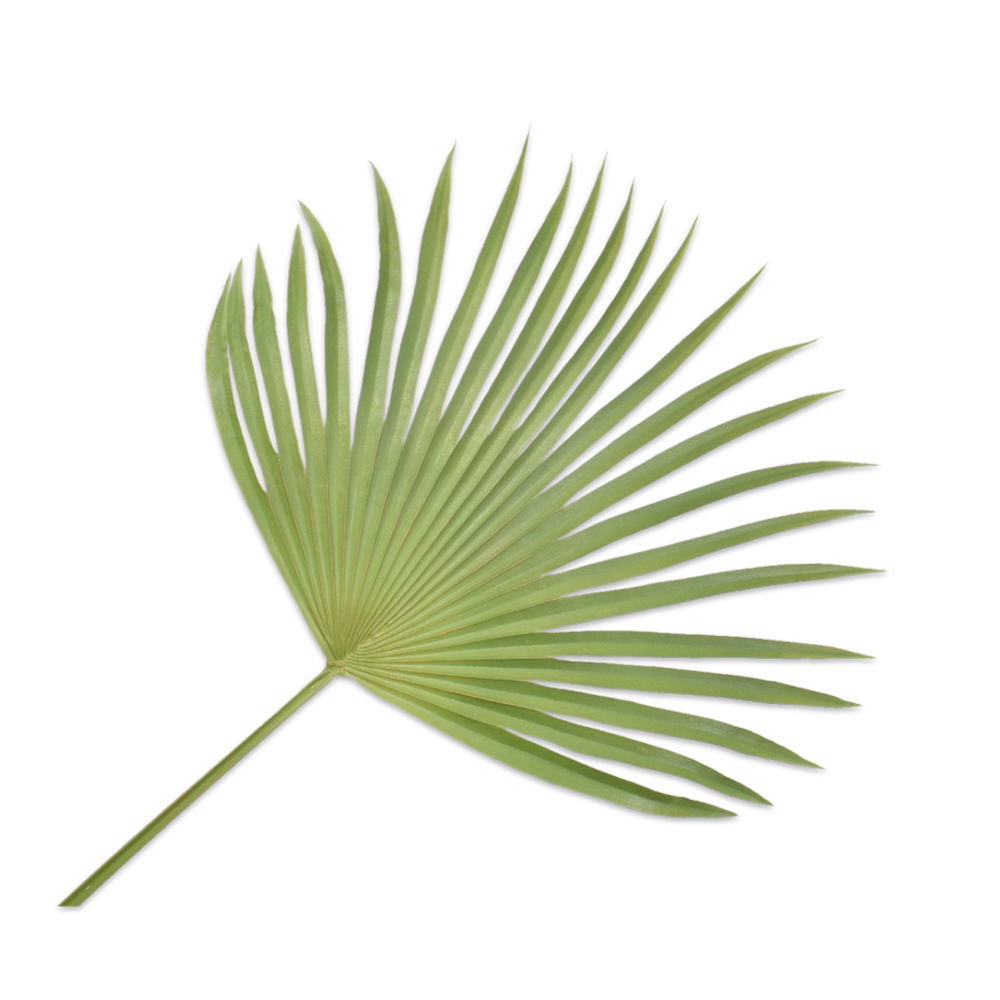Kunstpflanze Palmenblatt - grün