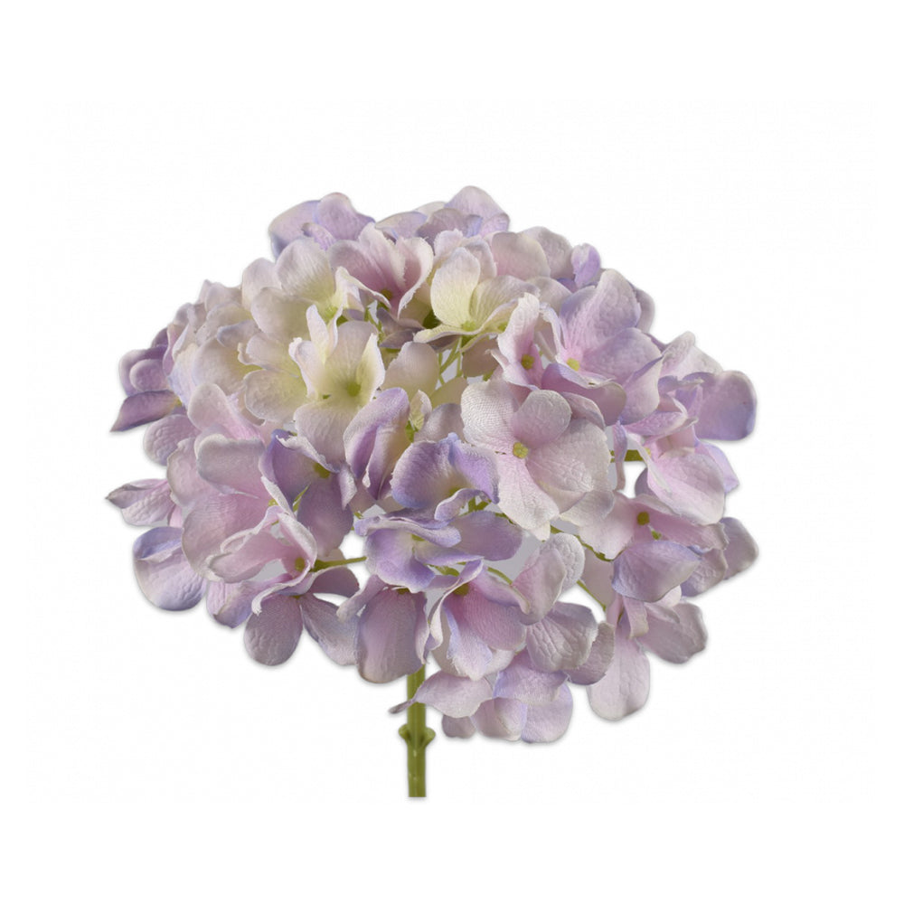Hortensien lila von Silk-ka