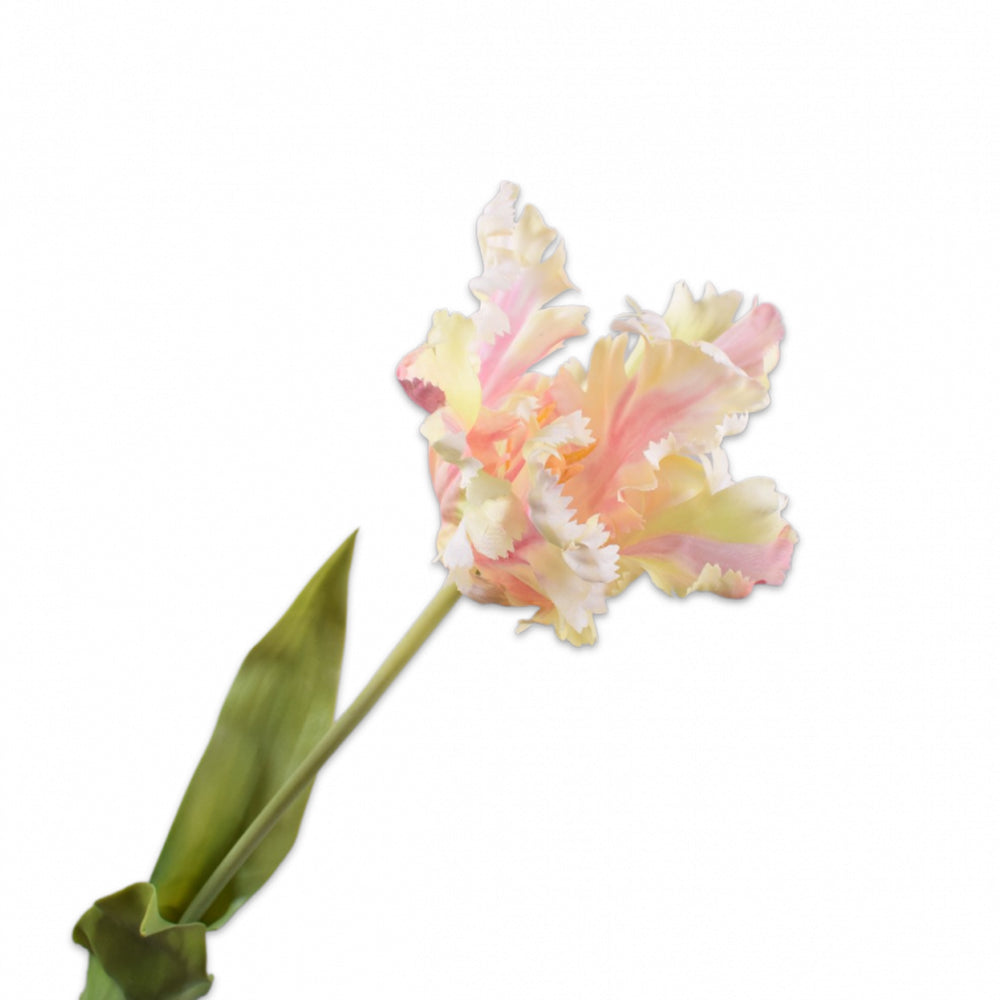 Kunstblume von Silk-Ka: Papageien Tulpe im Farbton Cream rosa
