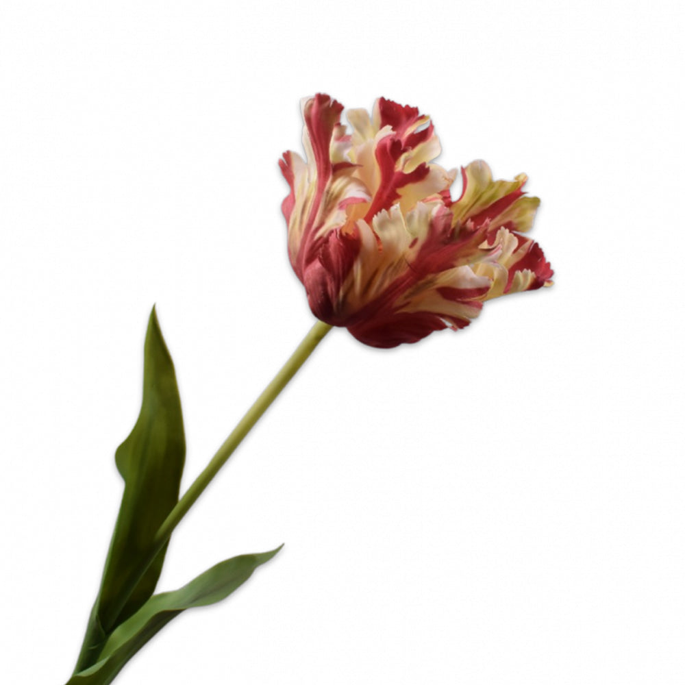 Kunstblume von Silk-Ka: Papageien Tulpe im Farbton rot und cream