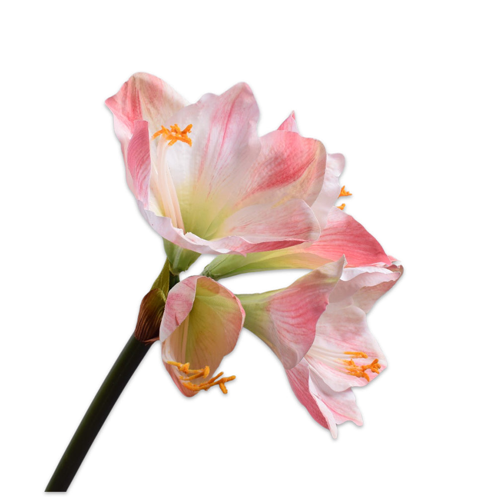 Kunstblume Amaryllis Stiel im Farbton creme pink von Silk-ka