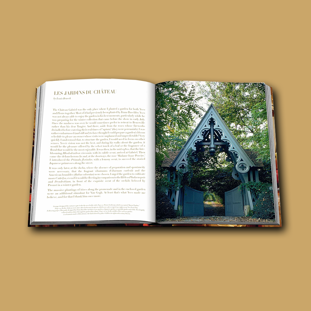 Book Yves Saint Laurent At Home - ASSOULINE