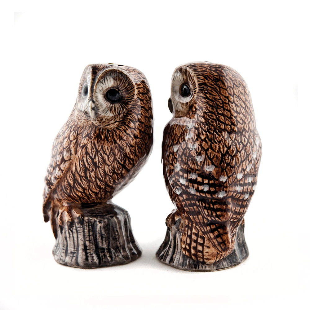 Salz- und Pfefferstreuer Eule Waldkauz Tawny Owl