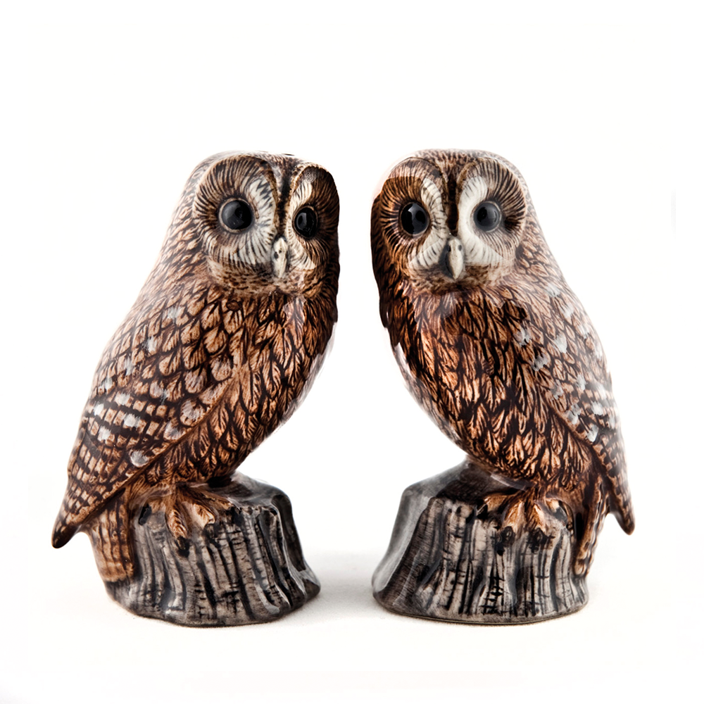 Salz- und Pfefferstreuer Eule Waldkauz Tawny Owl