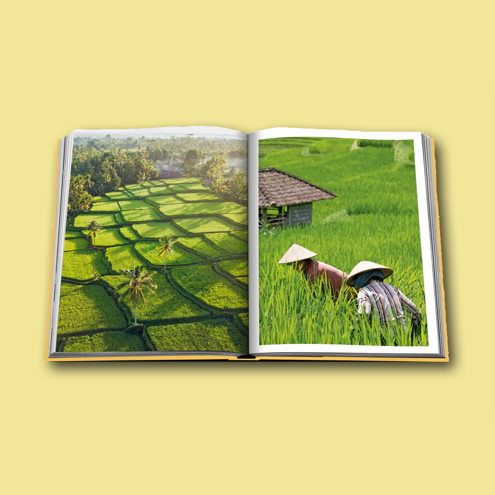 Buch Bali Mystique - ASSOULINE