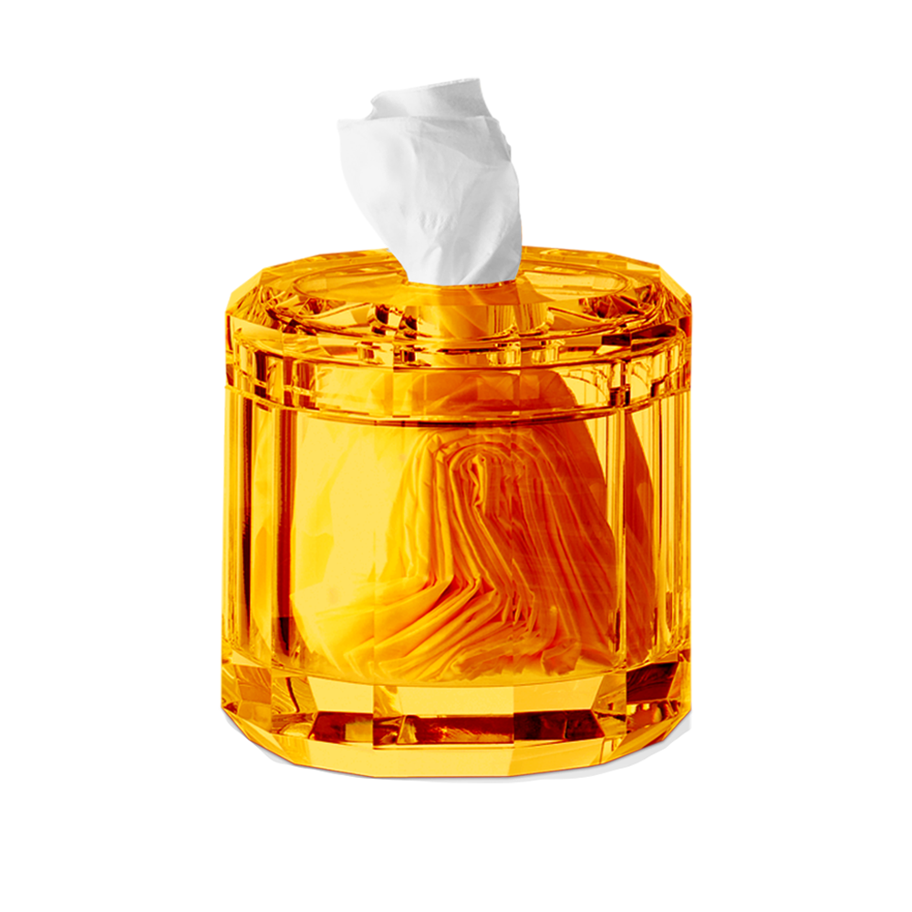 Glass shop tissue box