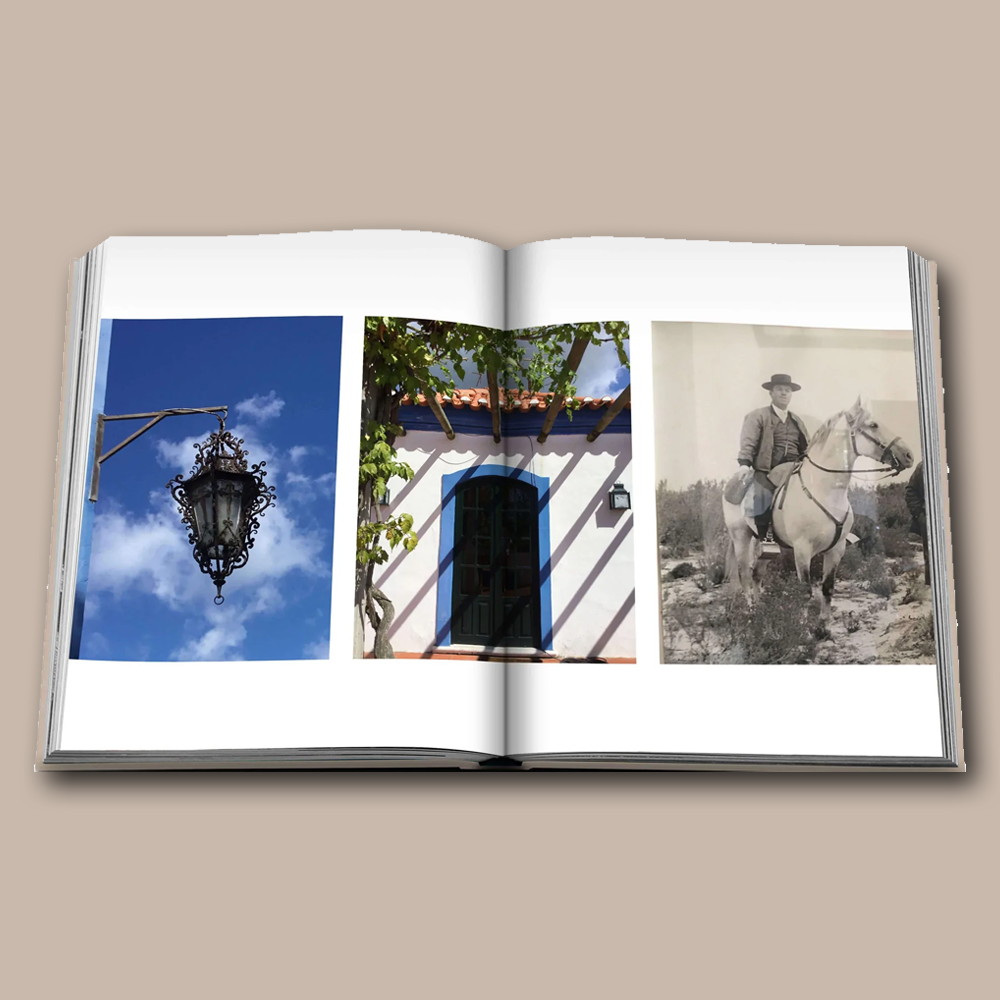 Book Comporta Bliss