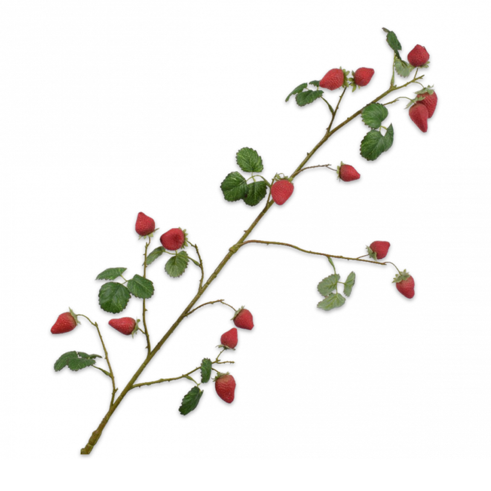 Erdbeerzweig in rot von Silkka. 