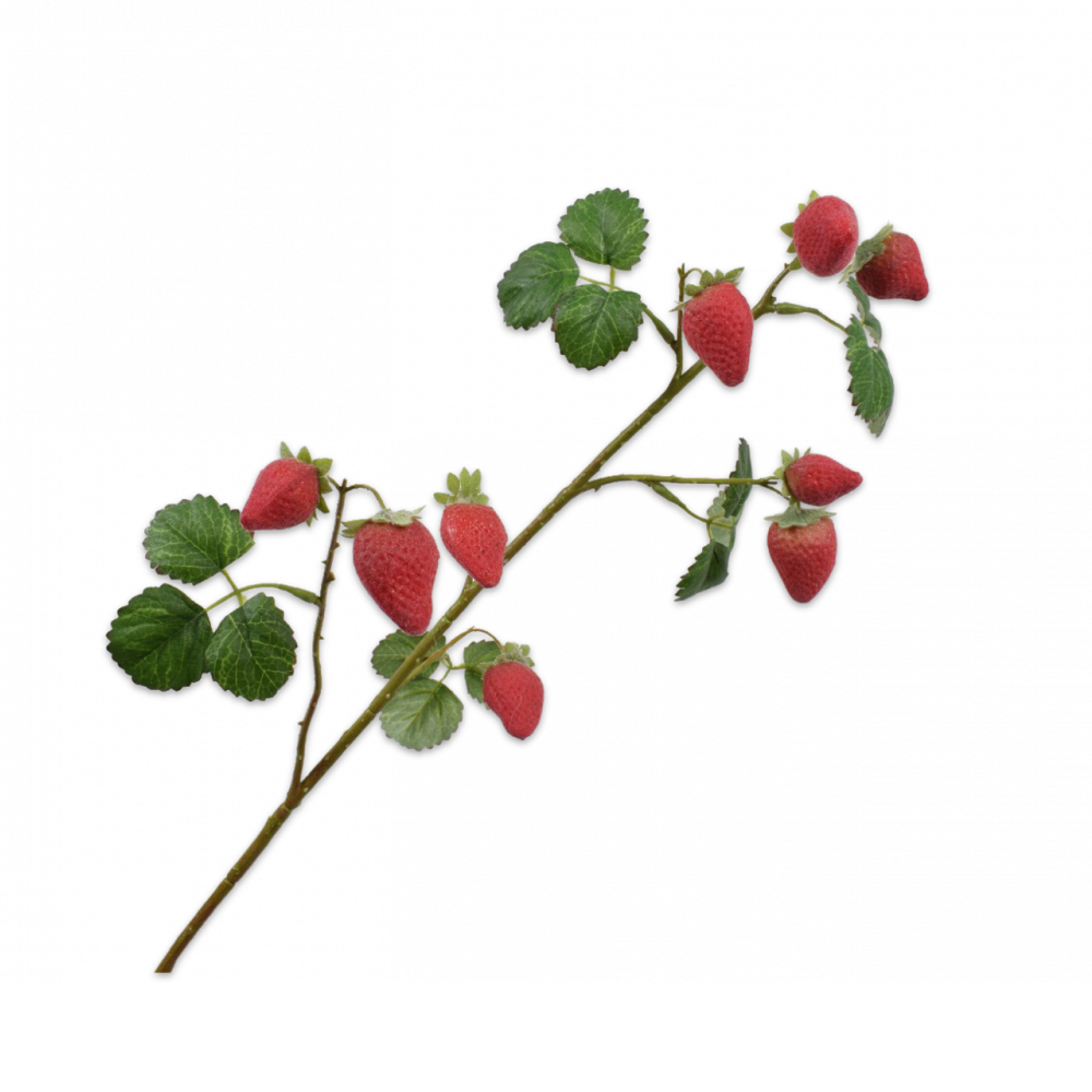 Erdbeerzweig in rot von Silkka. 